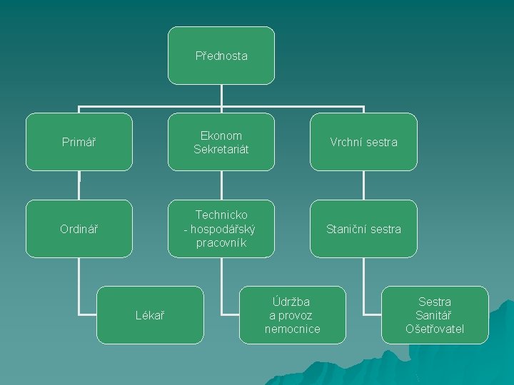 Přednosta Primář Ekonom Sekretariát Vrchní sestra Ordinář Technicko - hospodářský pracovník Staniční sestra Lékař