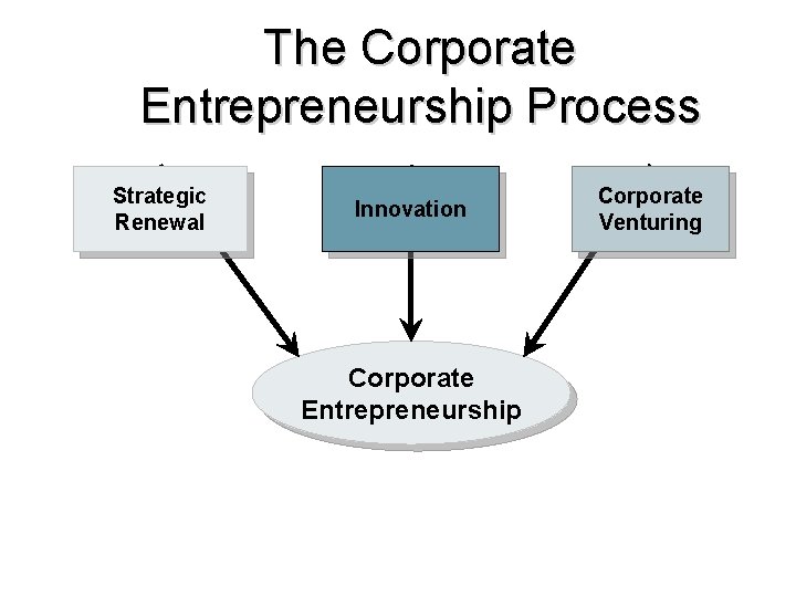 The Corporate Entrepreneurship Process Strategic Renewal Innovation Corporate Entrepreneurship Corporate Venturing The Corporate Entrepreneurship Process Strategic Renewal Innovation Corporate Entrepreneurship Corporate Venturing