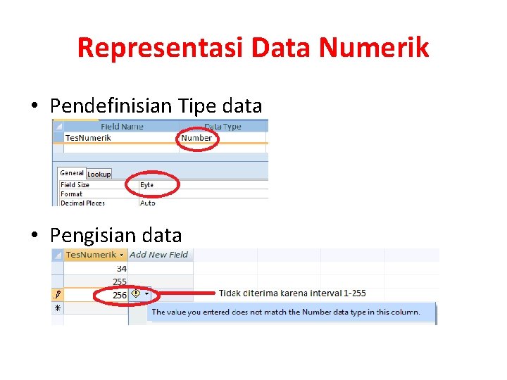 Representasi Data Numerik • Pendefinisian Tipe data • Pengisian data 