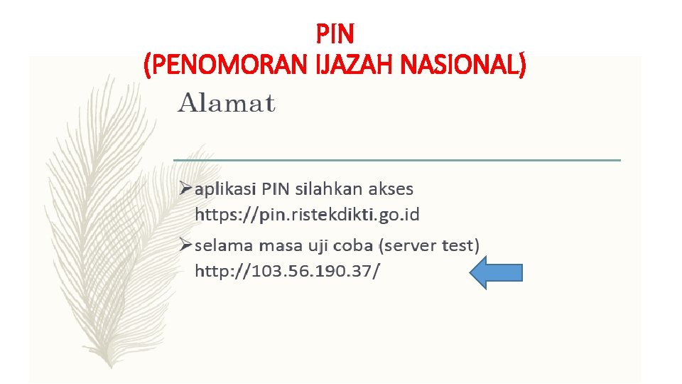 PIN (PENOMORAN IJAZAH NASIONAL) 