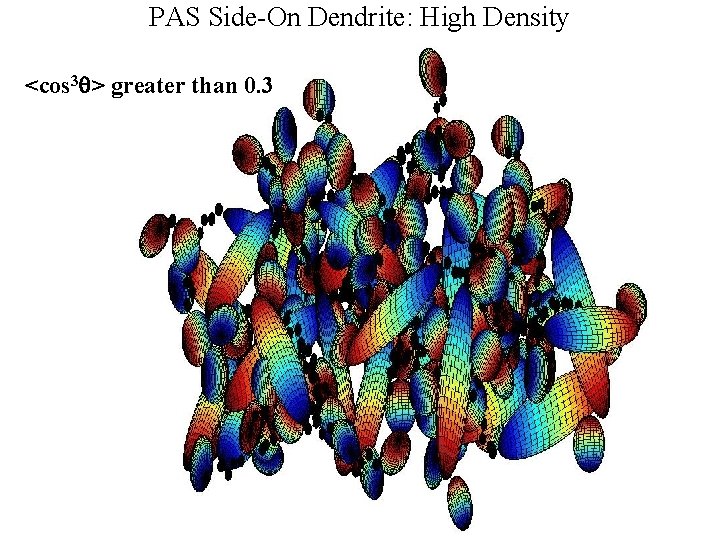 PAS Side-On Dendrite: High Density <cos 3 q> greater than 0. 3 