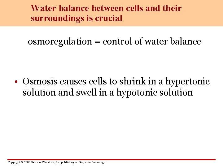 Water balance between cells and their surroundings is crucial osmoregulation = control of water