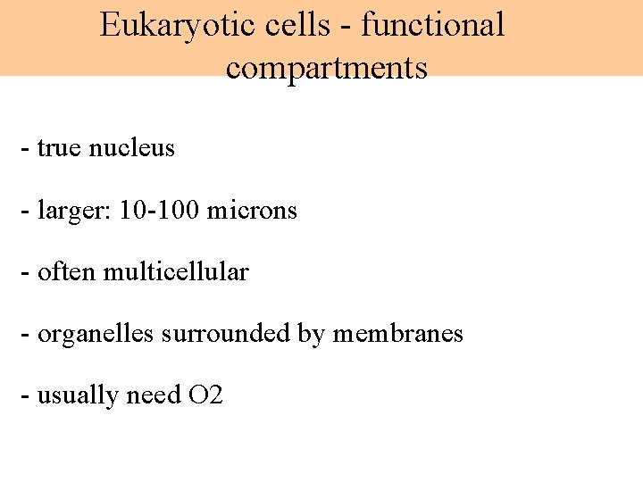 Eukaryotic cells - functional compartments - true nucleus - larger: 10 -100 microns -