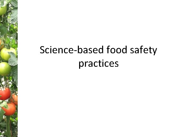 Science-based food safety practices 