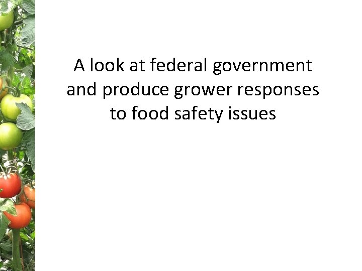 A look at federal government and produce grower responses to food safety issues 