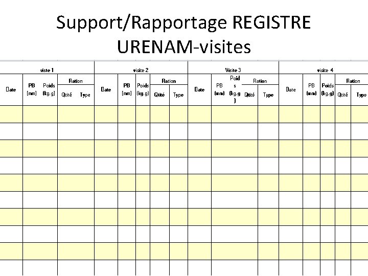 Support/Rapportage REGISTRE URENAM-visites 