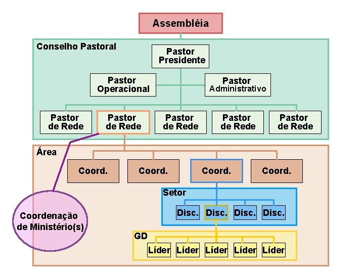 Assembléia Conselho Pastoral Pastor Presidente Pastor Operacional Pastor de Rede Pastor Administrativo Pastor de