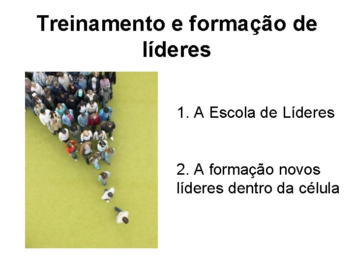 Treinamento e formação de líderes 1. A Escola de Líderes 2. A formação novos