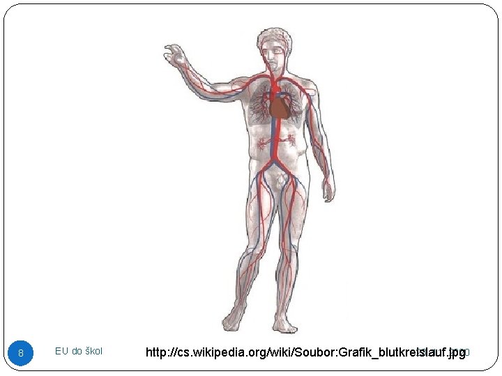 8 EU do škol 23. 11. 2020 http: //cs. wikipedia. org/wiki/Soubor: Grafik_blutkreislauf. jpg 