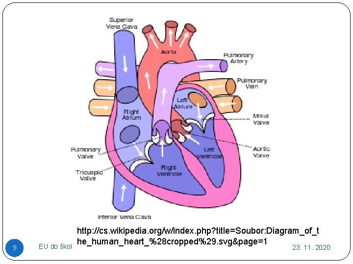 9 EU do škol http: //cs. wikipedia. org/w/index. php? title=Soubor: Diagram_of_t he_human_heart_%28 cropped%29. svg&page=1