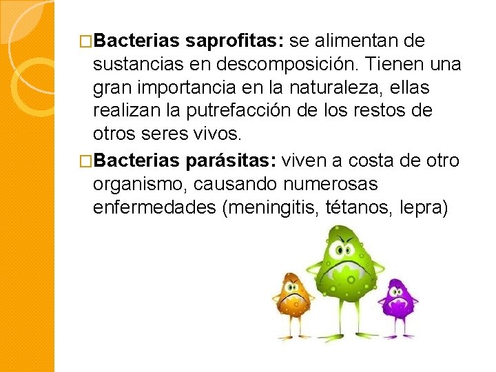 �Bacterias saprofitas: se alimentan de sustancias en descomposición. Tienen una gran importancia en la