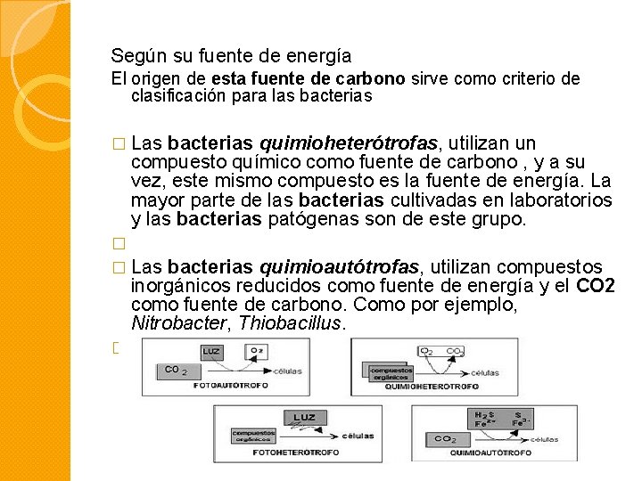 Según su fuente de energía El origen de esta fuente de carbono sirve como