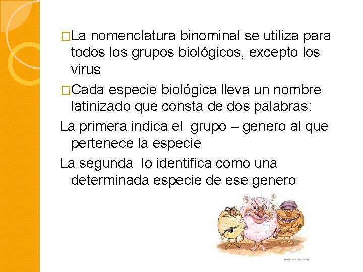 �La nomenclatura binominal se utiliza para todos los grupos biológicos, excepto los virus �Cada