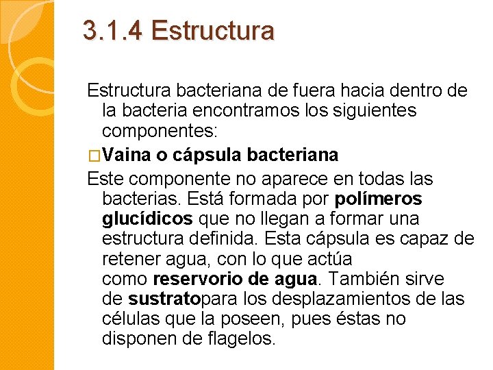 3. 1. 4 Estructura bacteriana de fuera hacia dentro de la bacteria encontramos los