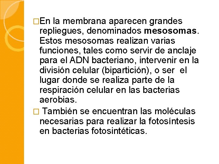 �En la membrana aparecen grandes repliegues, denominados mesosomas. Estos mesosomas realizan varias funciones, tales