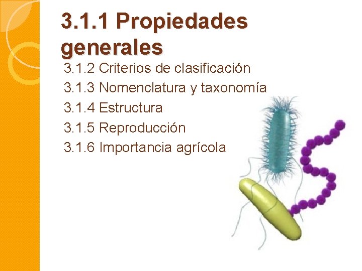 3. 1. 1 Propiedades generales 3. 1. 2 Criterios de clasificación 3. 1. 3