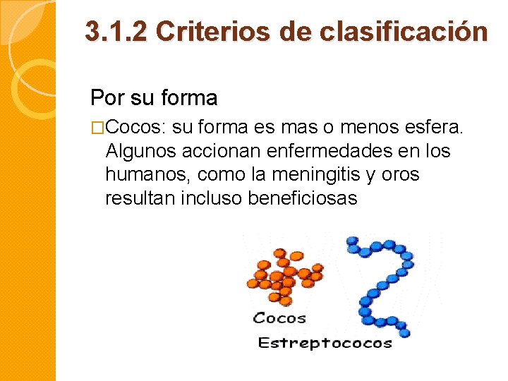 3. 1. 2 Criterios de clasificación Por su forma �Cocos: su forma es mas