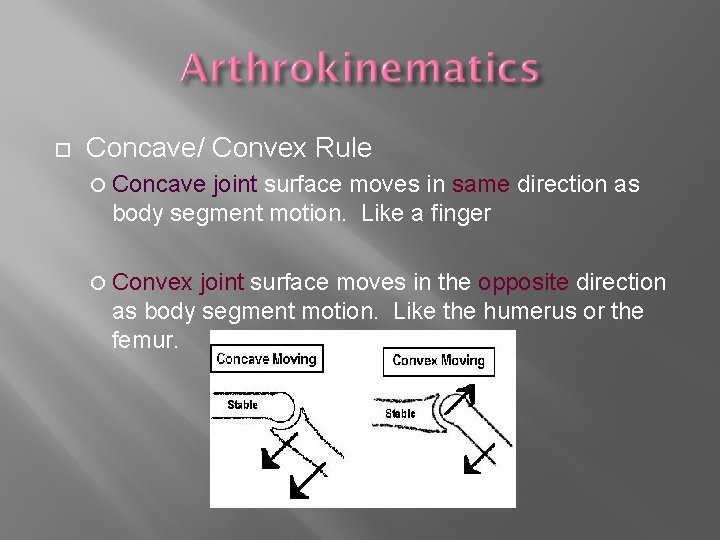  Concave/ Convex Rule Concave joint surface moves in same direction as body segment