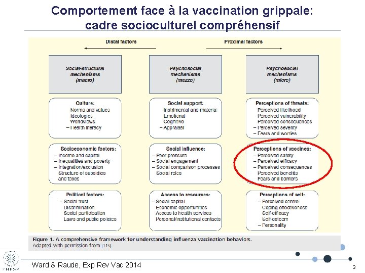 Comportement face à la vaccination grippale: cadre socioculturel compréhensif Ward & Raude, Exp Rev