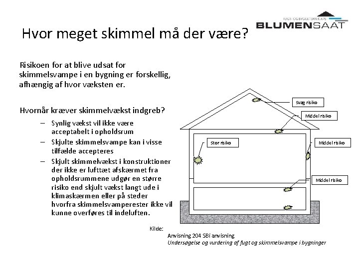 Hvor meget skimmel må der være? Risikoen for at blive udsat for skimmelsvampe i