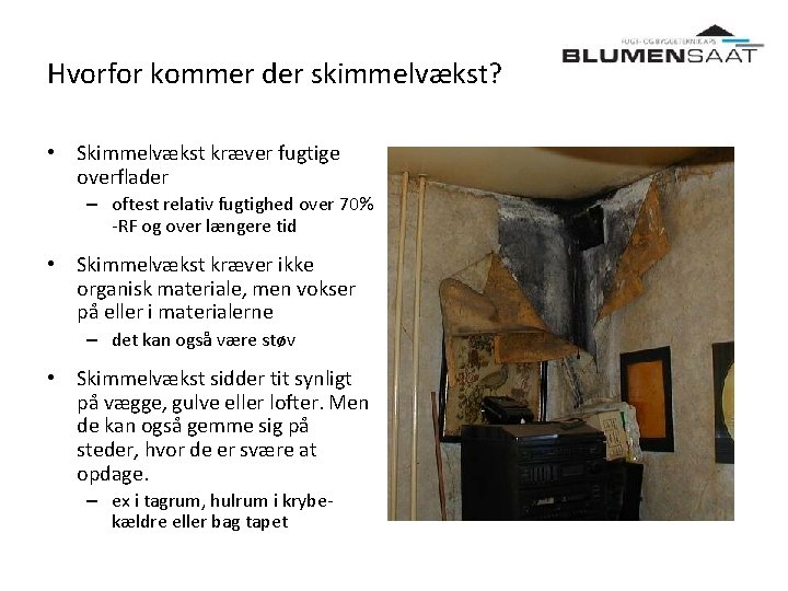 Hvorfor kommer der skimmelvækst? • Skimmelvækst kræver fugtige overflader – oftest relativ fugtighed over