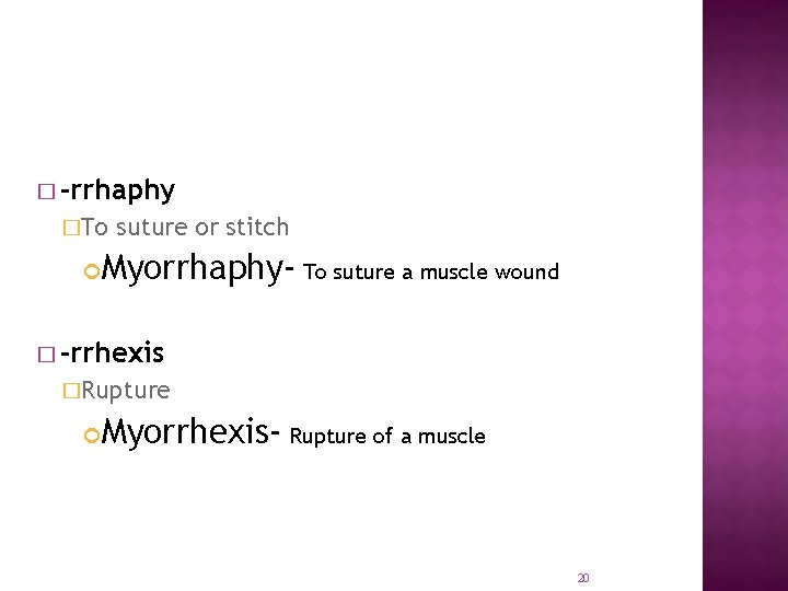 � -rrhaphy �To suture or stitch Myorrhaphy- To suture a muscle wound � -rrhexis