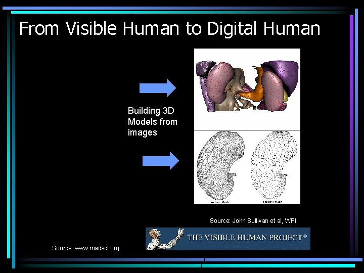 From Visible Human to Digital Human Building 3 D Models from images Source: John