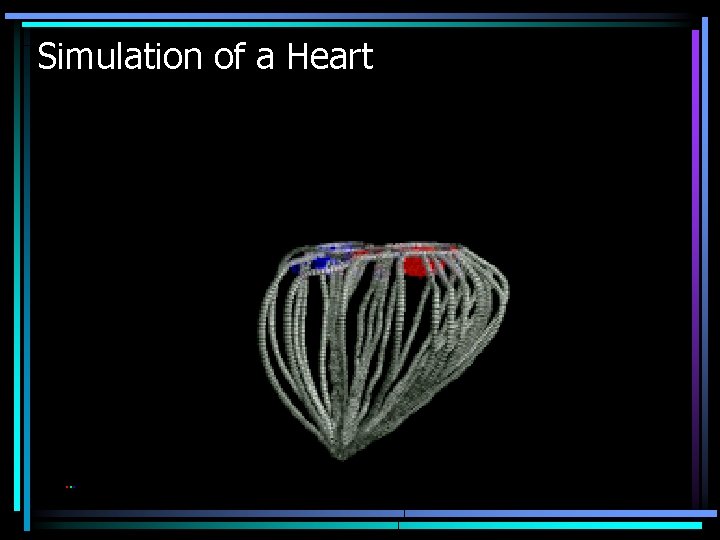 Simulation of a Heart 