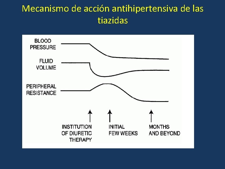 Mecanismo de acción antihipertensiva de las tiazidas 