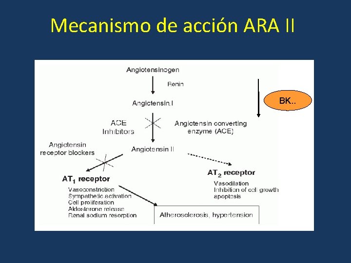 Mecanismo de acción ARA II BK. . 