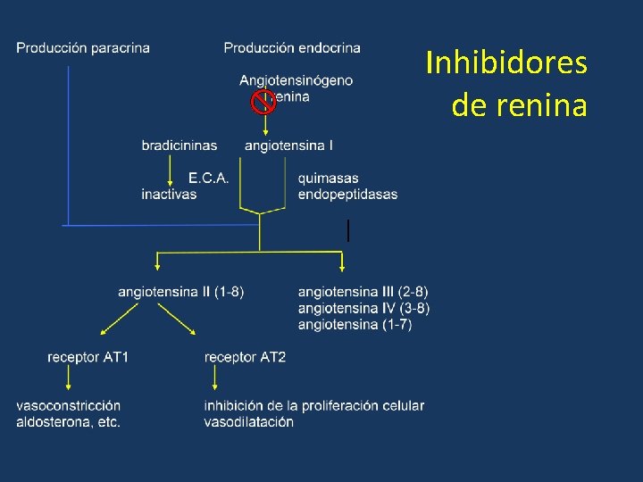 Inhibidores de renina 