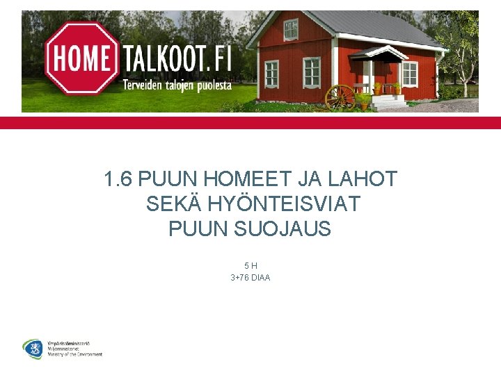 1. 6 PUUN HOMEET JA LAHOT SEKÄ HYÖNTEISVIAT PUUN SUOJAUS 5 H 3+76 DIAA