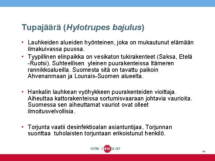 Tupajäärä (Hylotrupes bajulus) • Lauhkeiden alueiden hyönteinen, joka on mukautunut elämään ilmakuivassa puussa. •