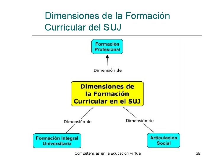 Dimensiones de la Formación Curricular del SUJ Competencias en la Educación Virtual 38 