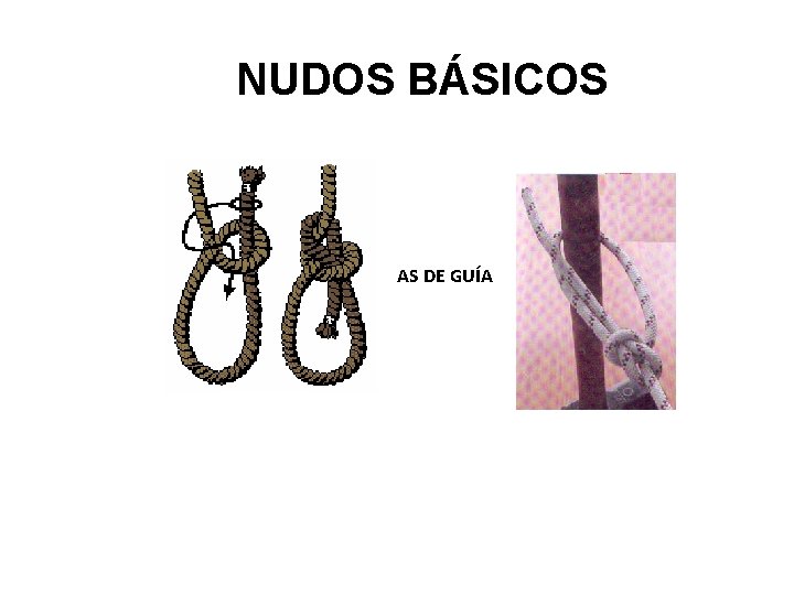 NUDOS BÁSICOS AS DE GUÍA 