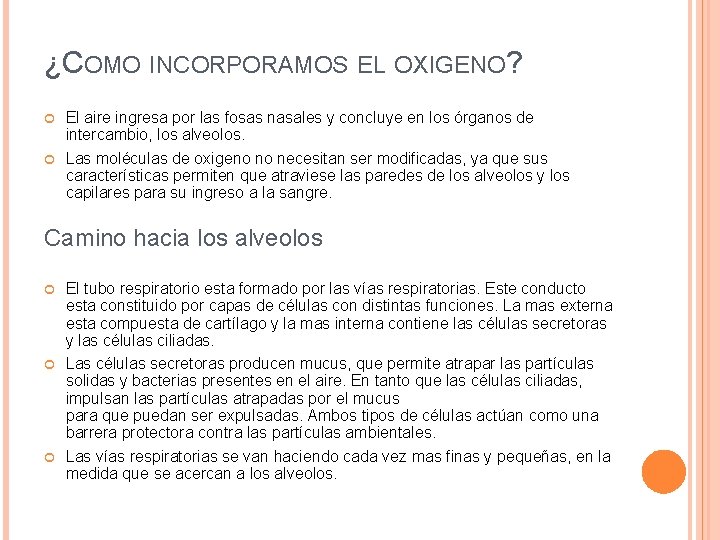 ¿COMO INCORPORAMOS EL OXIGENO? El aire ingresa por las fosas nasales y concluye en