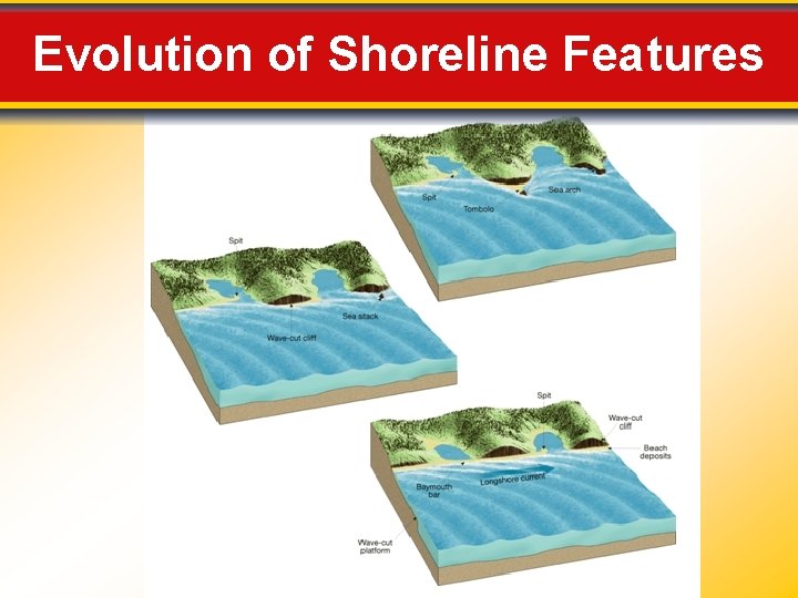 Evolution of Shoreline Features 