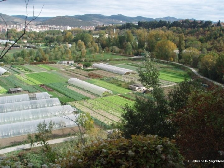 Huertas de la Magdalena 