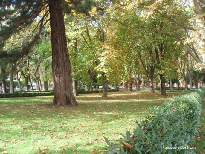 Parque de la Media Luna 