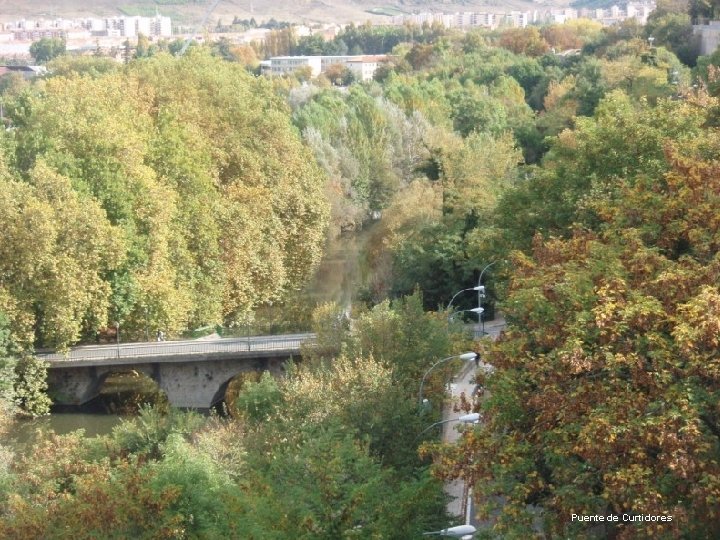 Puente de Curtidores 