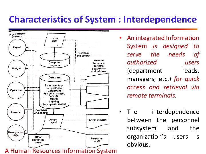 Characteristics of System : Interdependence • An integrated Information System is designed to serve