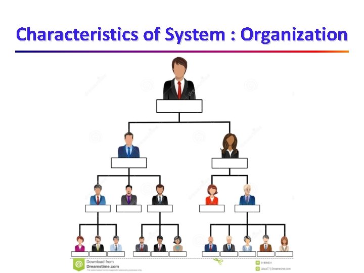 Characteristics of System : Organization 