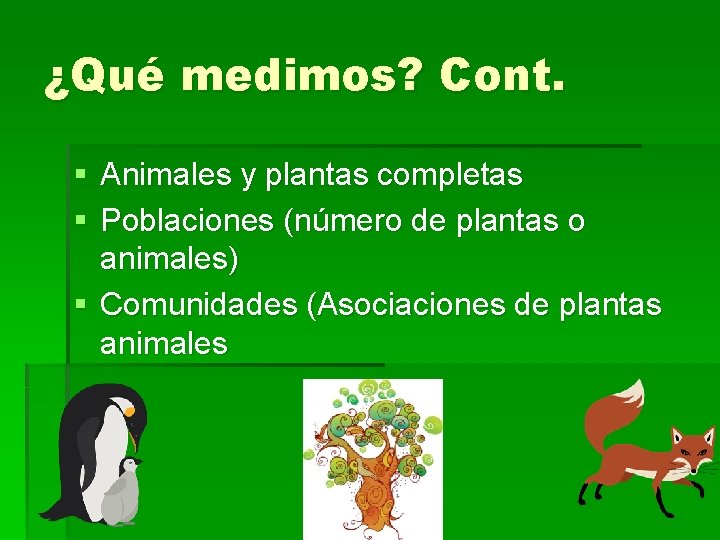 ¿Qué medimos? Cont. § Animales y plantas completas § Poblaciones (número de plantas o