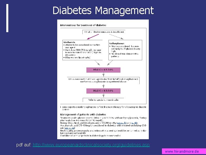 diabetes management pdf