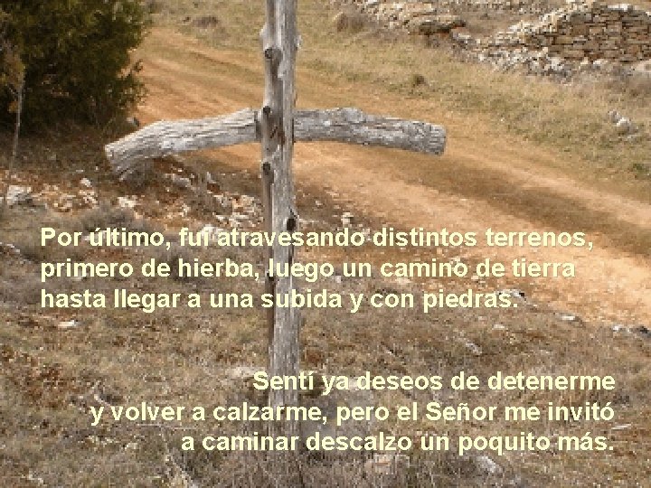 Por último, fui atravesando distintos terrenos, primero de hierba, luego un camino de tierra