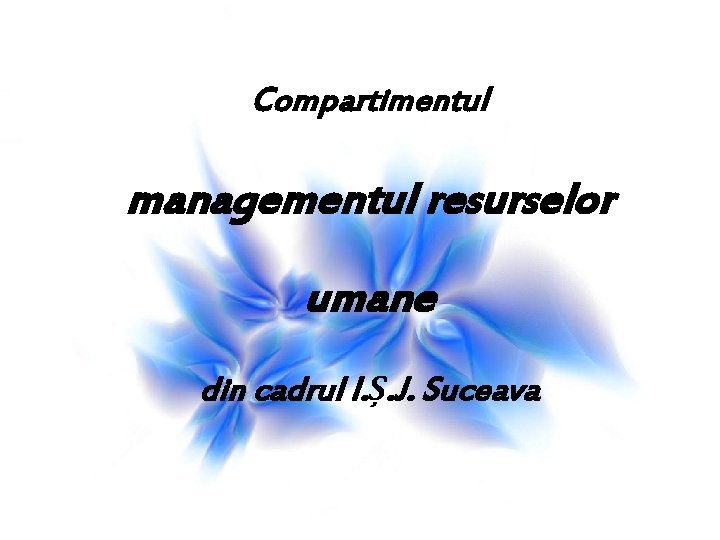 Compartimentul managementul resurselor umane din cadrul I. Ș. J. Suceava 