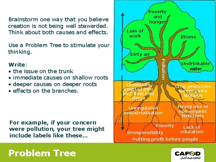 Brainstorm one way that you believe creation is not being well stewarded. Think about