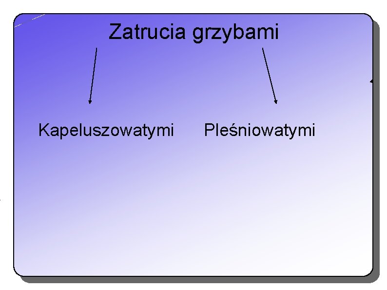 Zatrucia grzybami Kapeluszowatymi Pleśniowatymi Zatrucia grzybami Kapeluszowatymi Pleśniowatymi