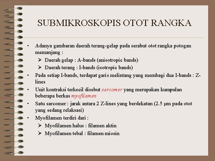 SUBMIKROSKOPIS OTOT RANGKA • • • Adanya gambaran daerah terang-gelap pada serabut otot rangka SUBMIKROSKOPIS OTOT RANGKA • • • Adanya gambaran daerah terang-gelap pada serabut otot rangka