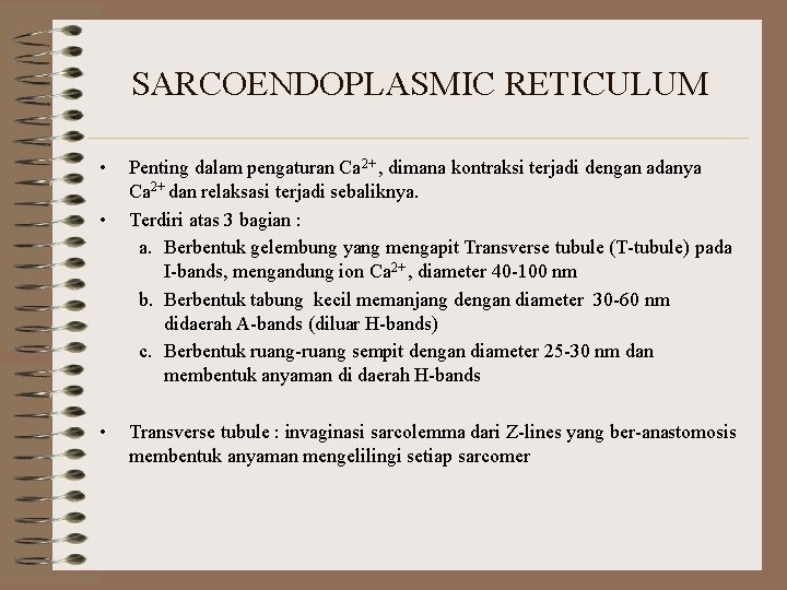 SARCOENDOPLASMIC RETICULUM • • • Penting dalam pengaturan Ca 2+ , dimana kontraksi terjadi SARCOENDOPLASMIC RETICULUM • • • Penting dalam pengaturan Ca 2+ , dimana kontraksi terjadi